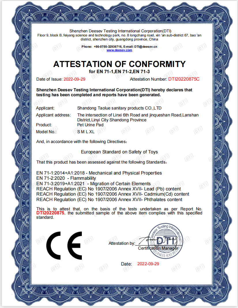 CE Certificate