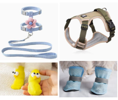 Pet Toys & Accessories